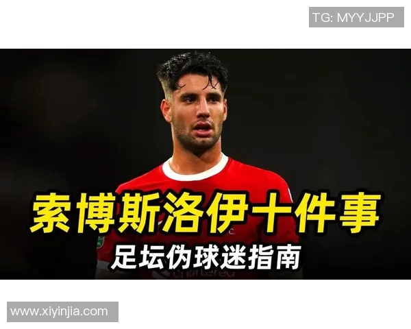 探秘索博斯洛伊的历史遗迹与文化传承之旅