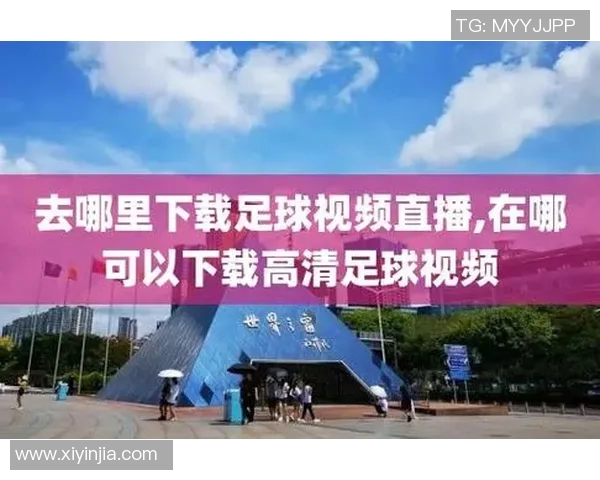 男足球比赛直播观看渠道推荐及平台汇总一览